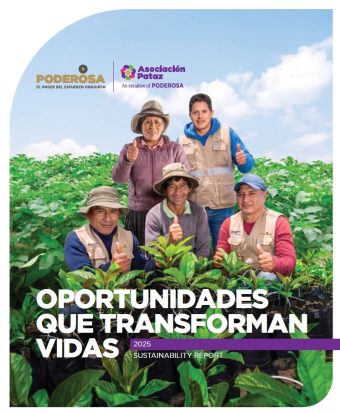 portada-reporte-ingles-2025